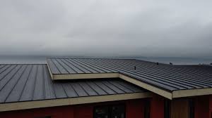 Best Roof Ventilation Installation  in Mcdade, TX